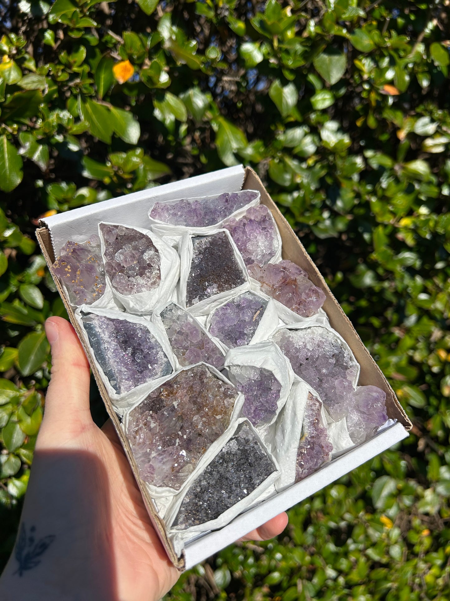 Amethyst Druze Cluster