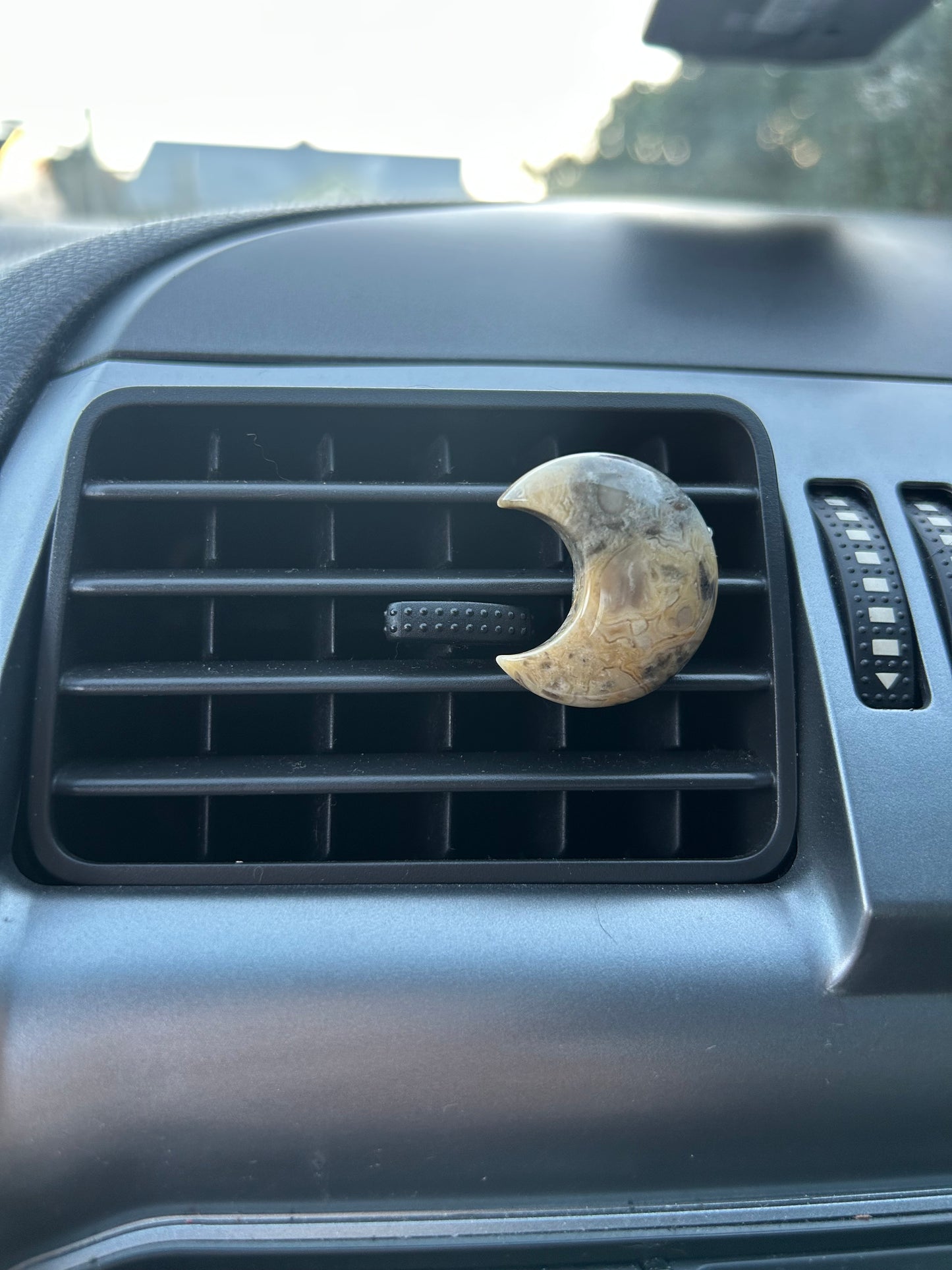 Crazy Lace Agate Car Clip
