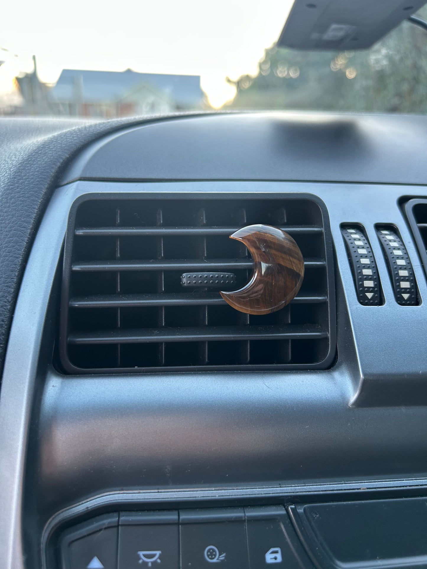 Tigers Eye Car Clip