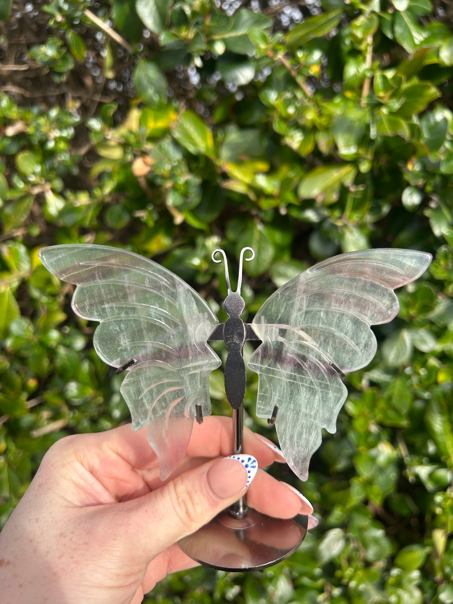 Rainbow Fluorite Butterfly Wings #2