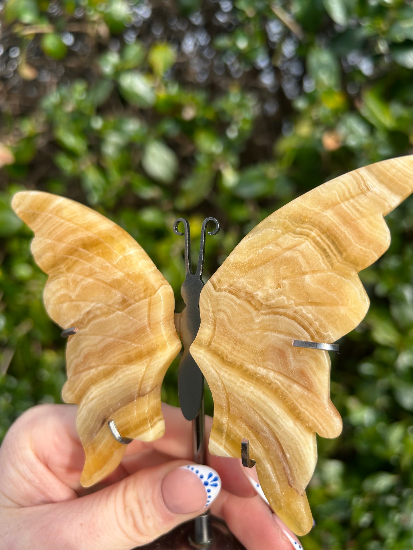 Yellow Calcite Butterfly Wings