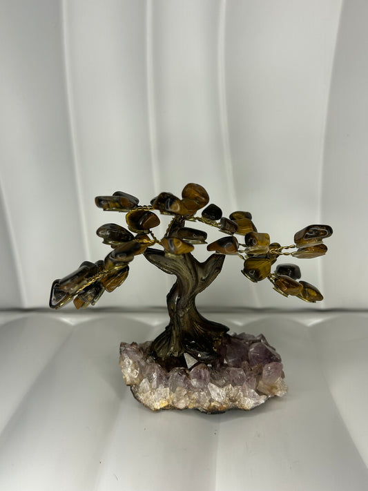 Tigers Eye Bonsai Tree