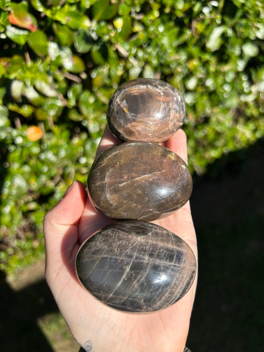 Black Moonstone Palm Stone