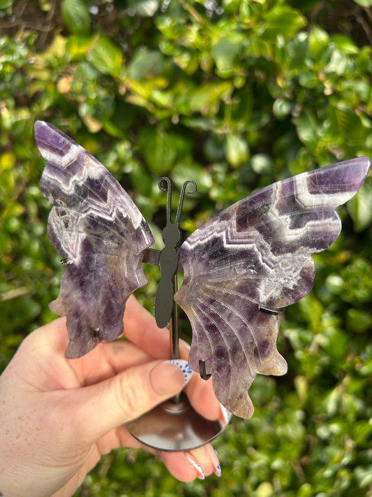 Amethyst Butterfly Wings #3