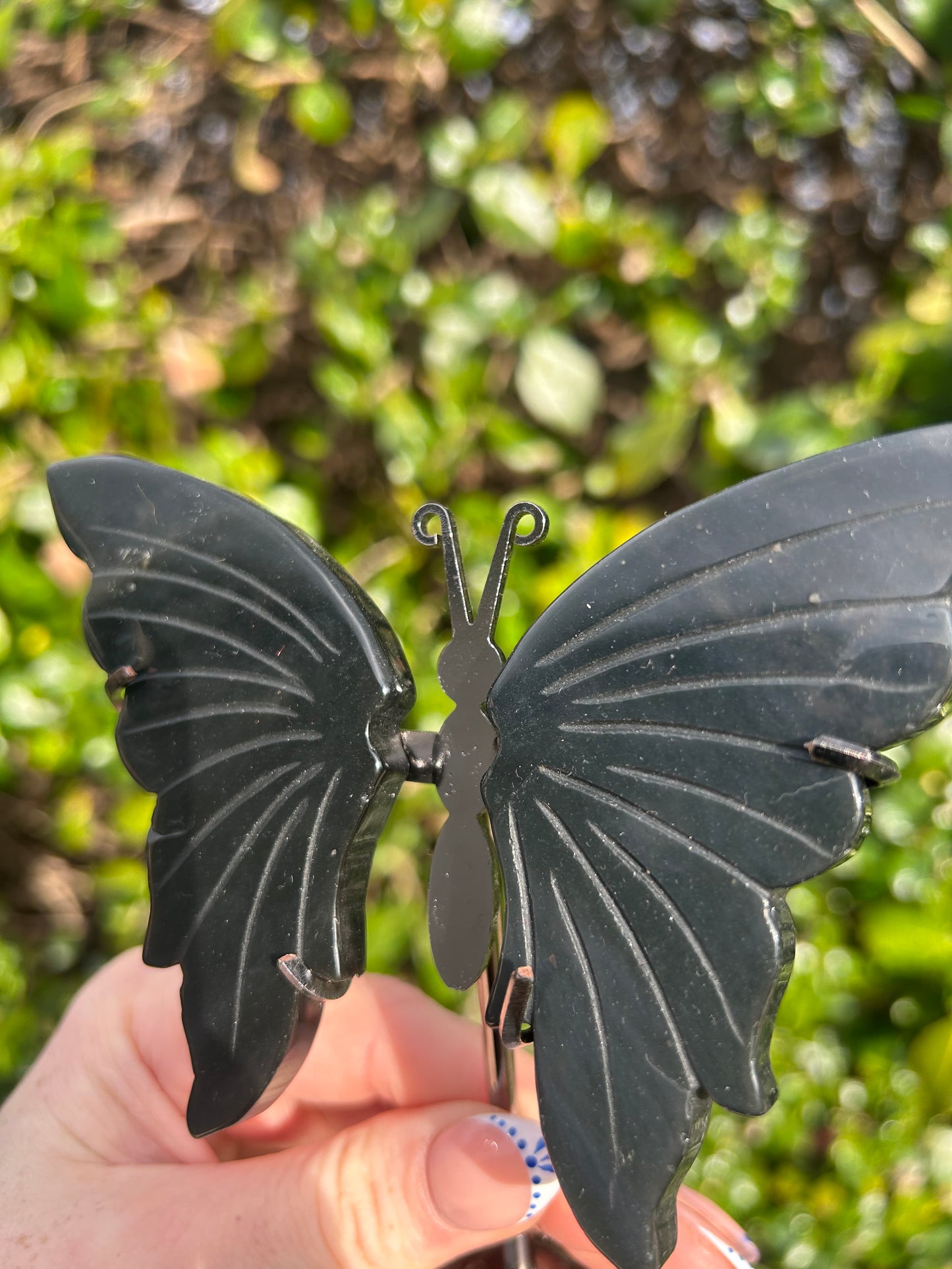 Obsidian Butterfly Wings
