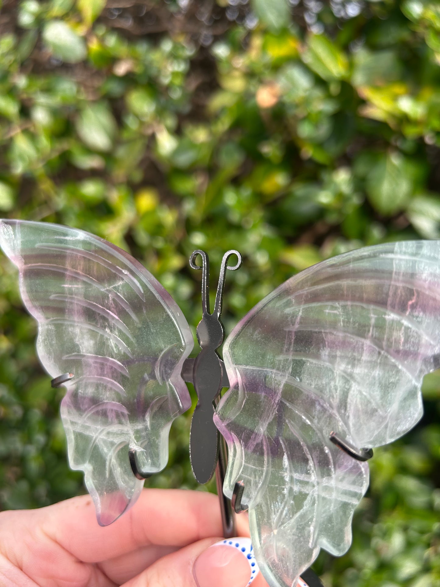 Rainbow Fluorite Butterfly Wings #1