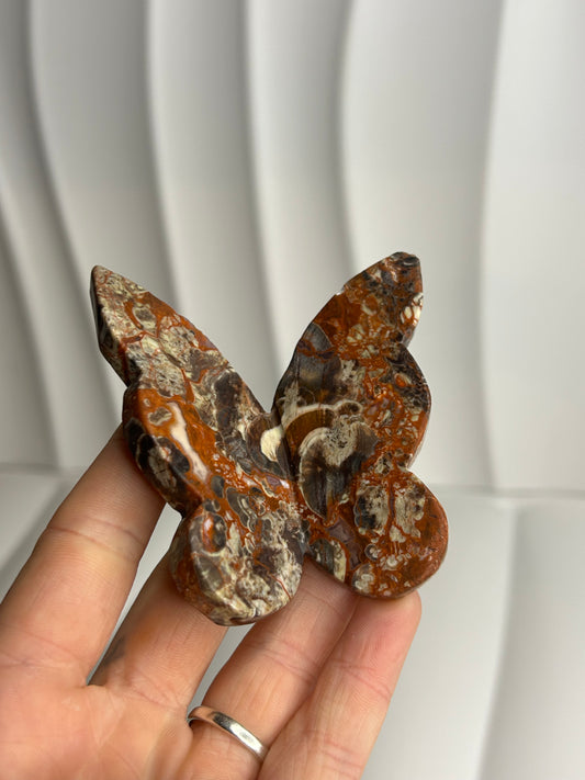 Crazy Lace Agate 3D Butterfly