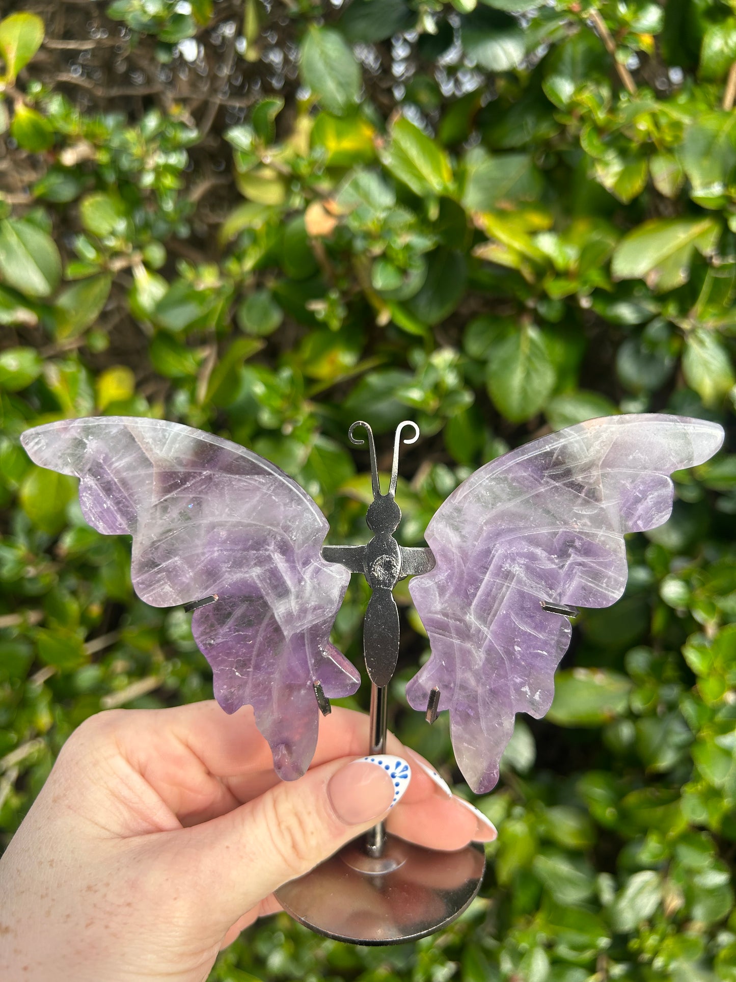 Amethyst Butterfly Wings #2