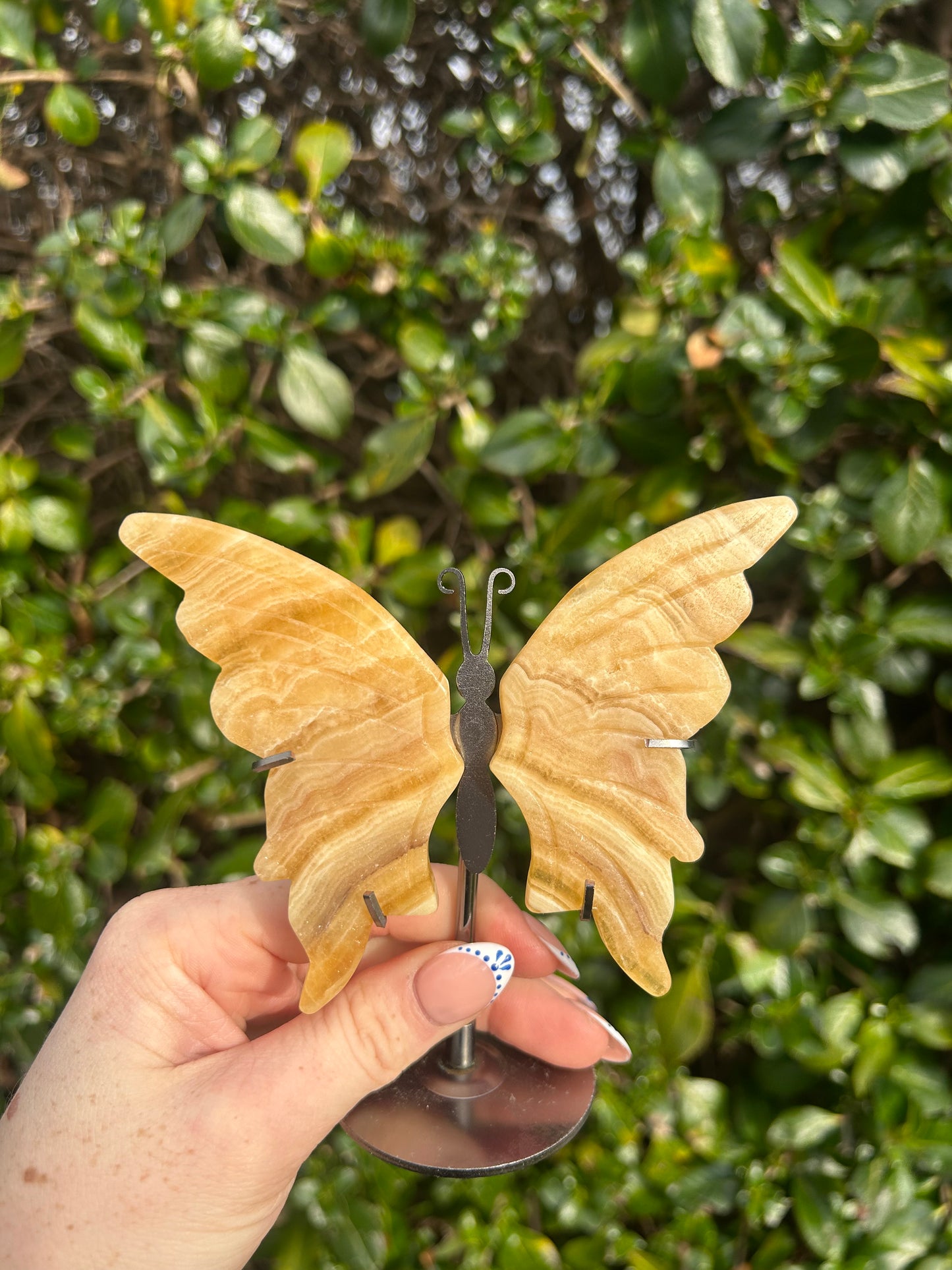 Yellow Calcite Butterfly Wings