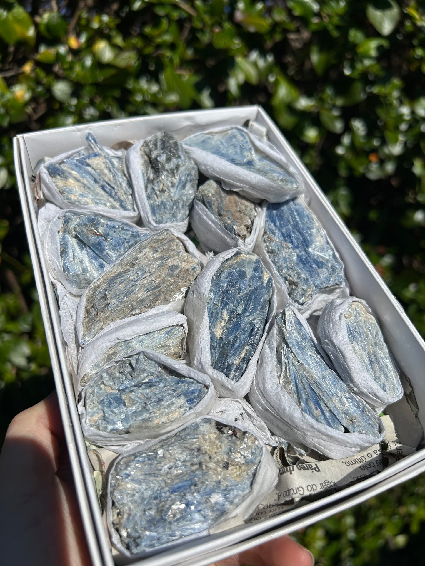 Kyanite Raw