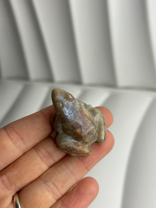Peach Moonstone Frog