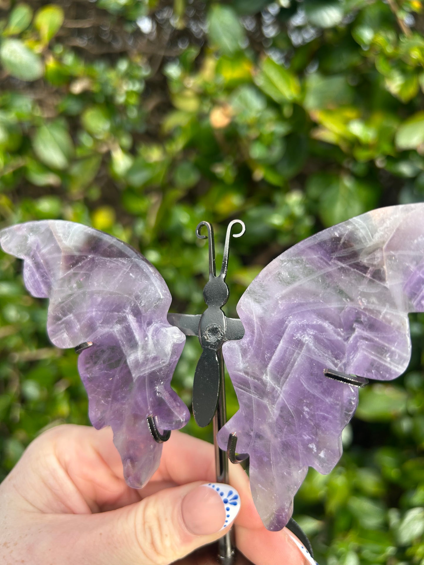 Amethyst Butterfly Wings #2