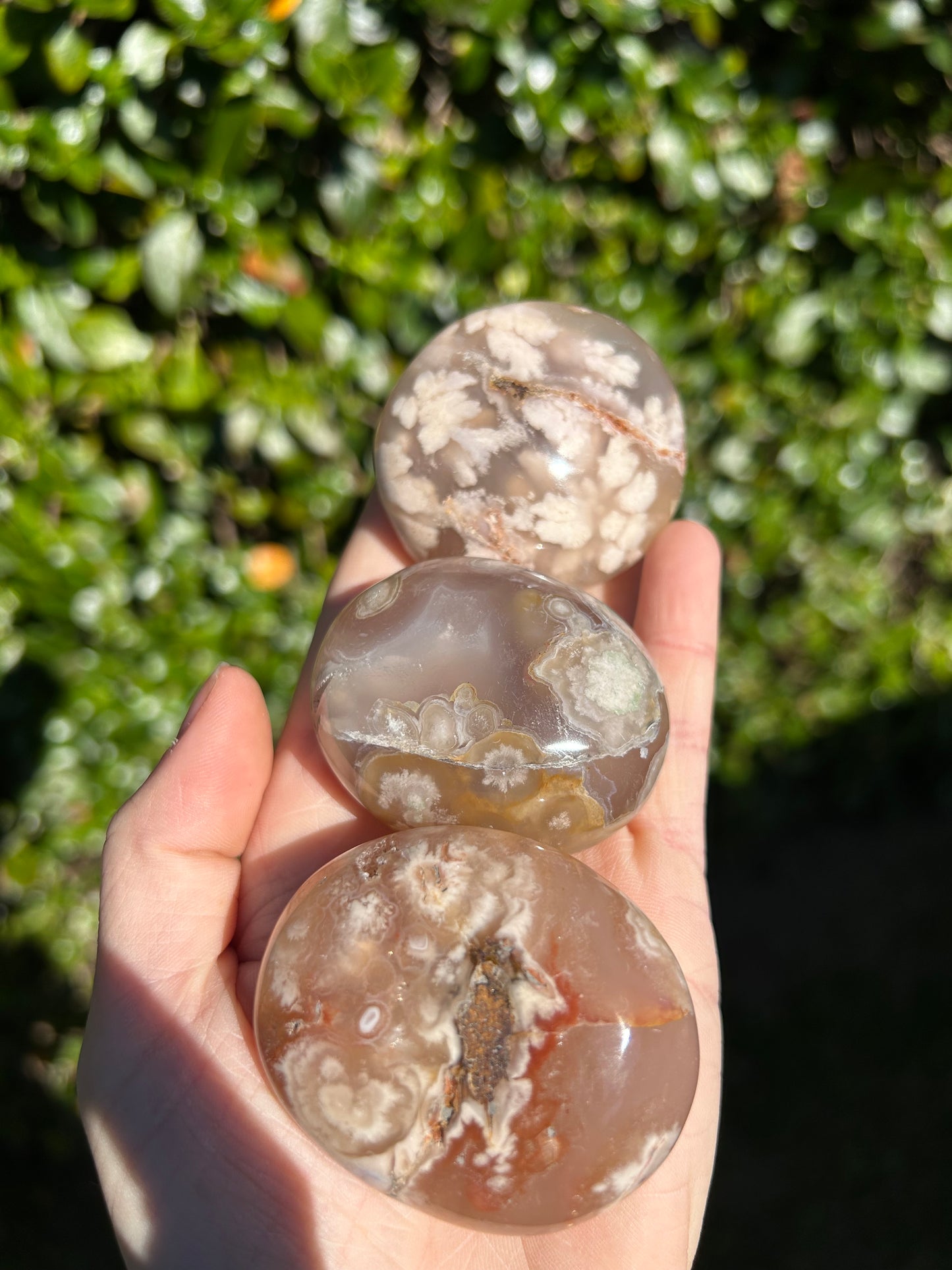 Flower Agate Palm Stone