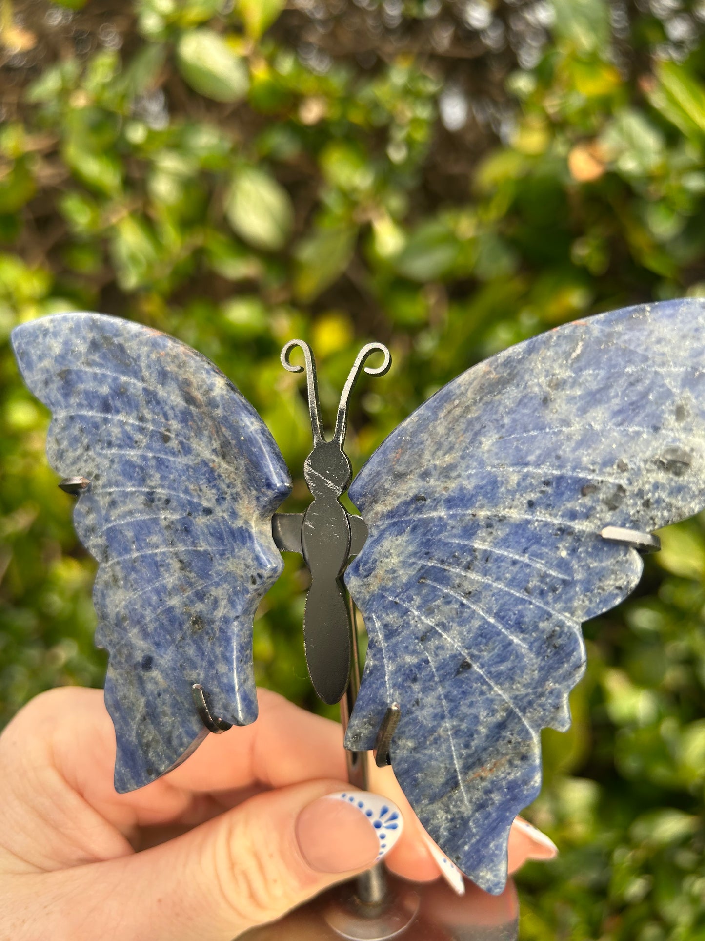 Sodalite Butterfly Wings