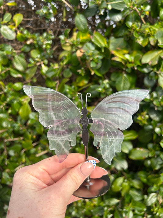 Rainbow Fluorite Butterfly Wings #1