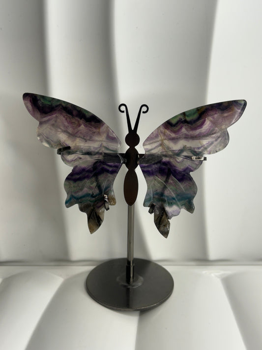 Rainbow Fluorite Butterfly Wings