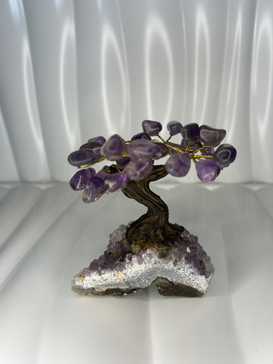 Amethyst Bonsai Tree