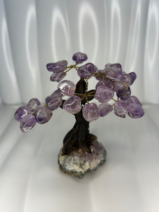 Amethyst Bonsai Tree