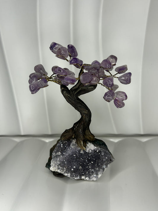 Amethyst Bonsai Tree