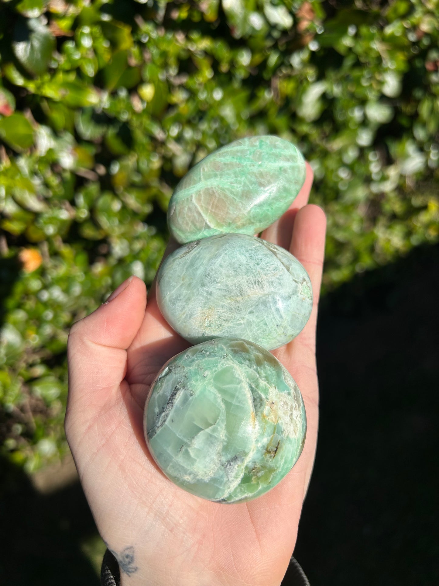 Garnierite Palm Stone