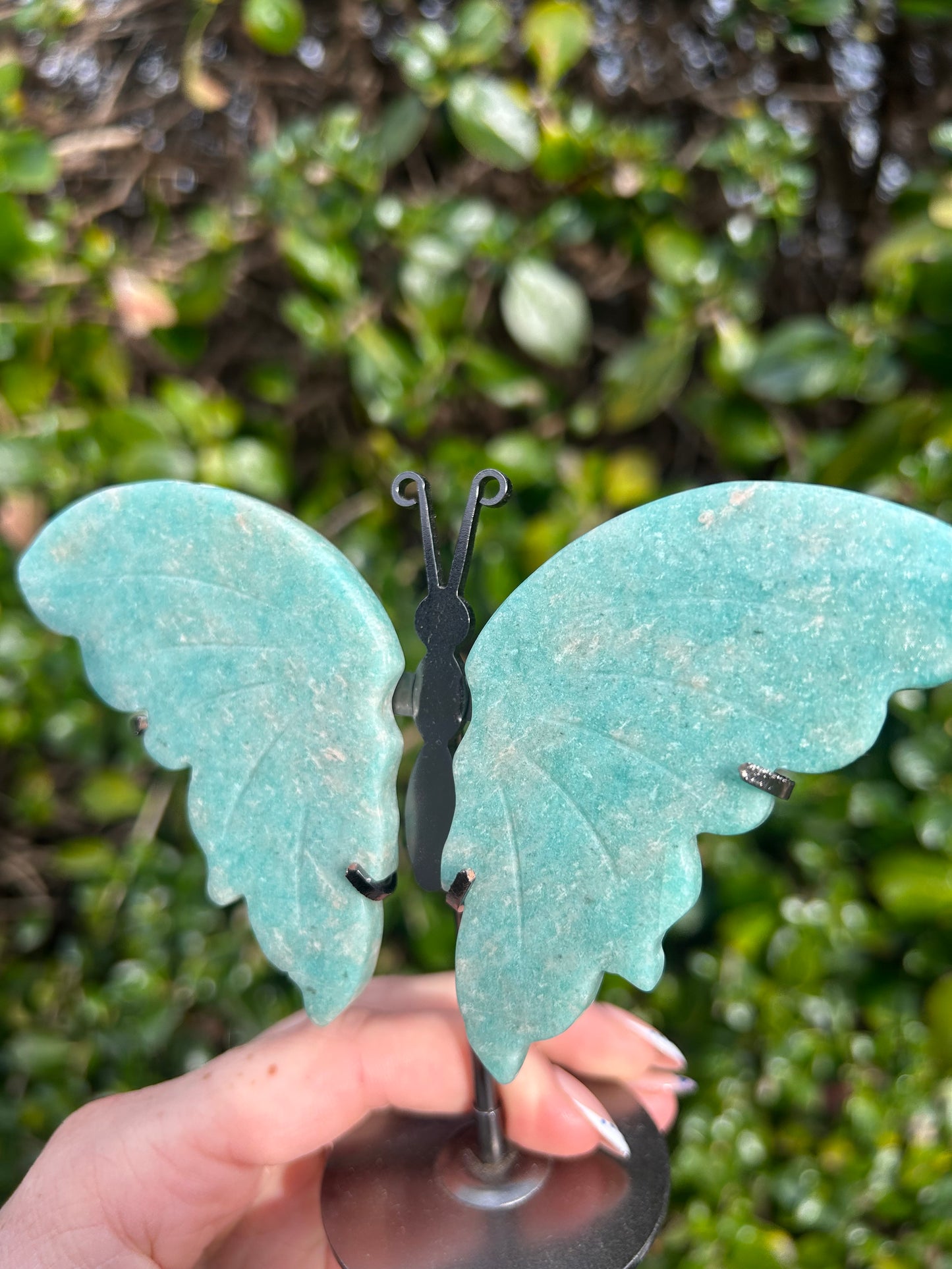 Amazonite Butterfly Wings