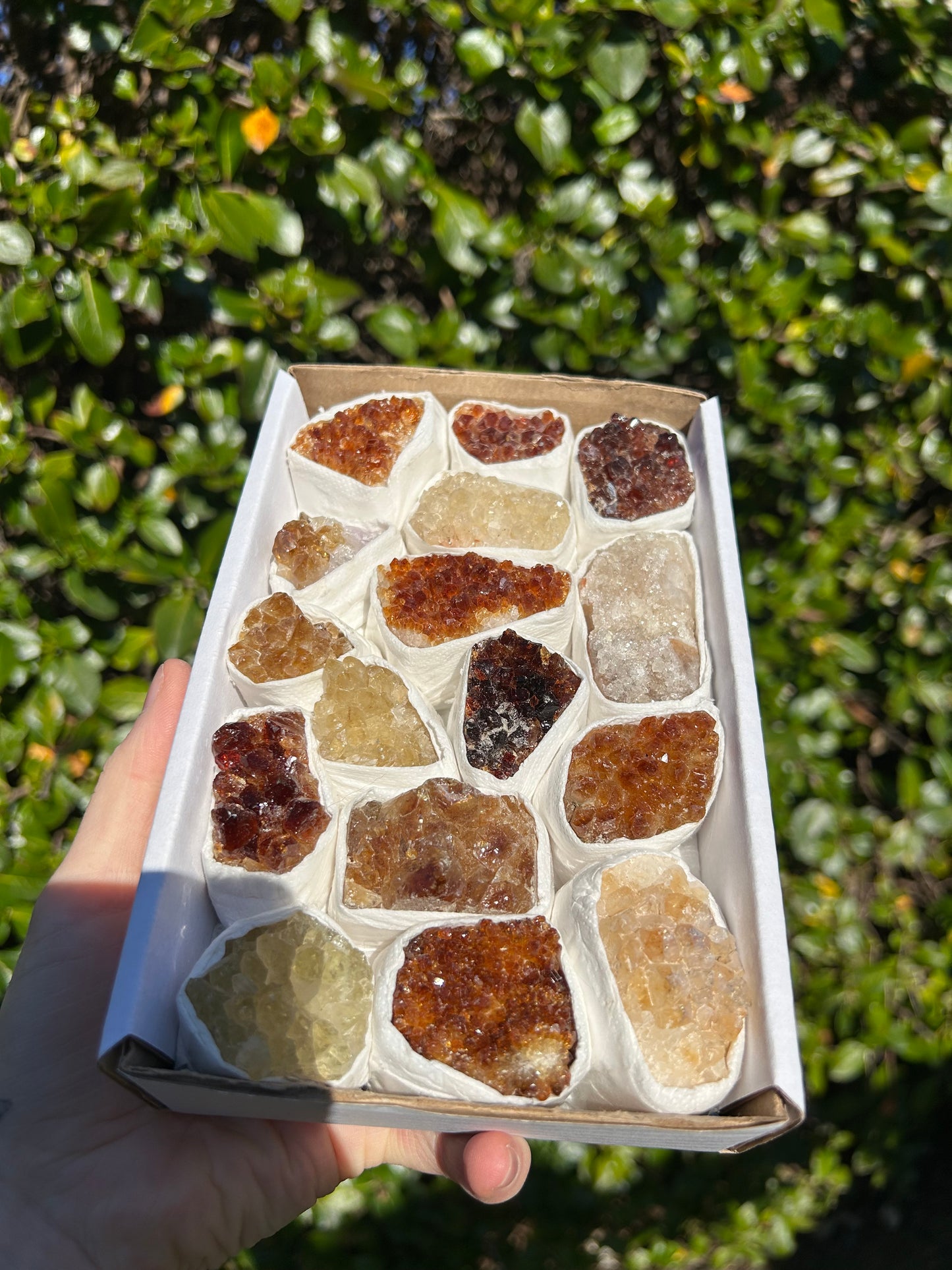 Citrine Druze Cluster