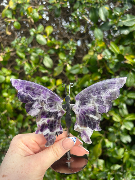 Amethyst Butterfly Wings #1