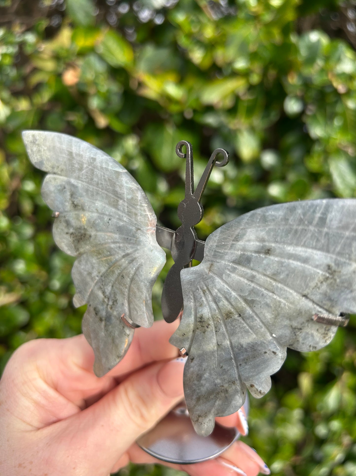 Labradorite Butterfly Wings