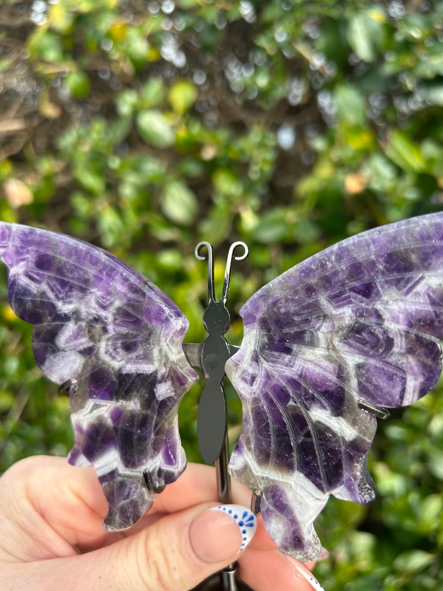 Amethyst Butterfly Wings #1