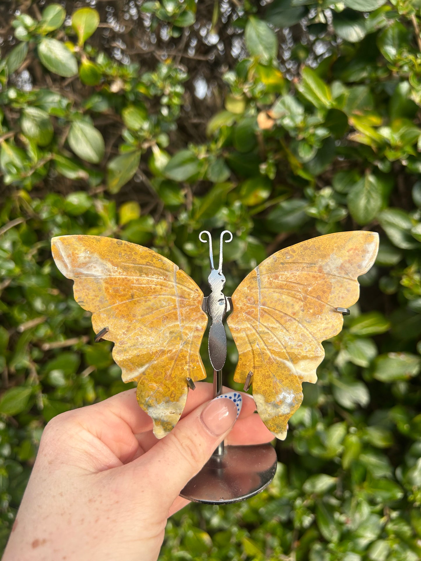 Bumblebee Jasper Butterfly Wings