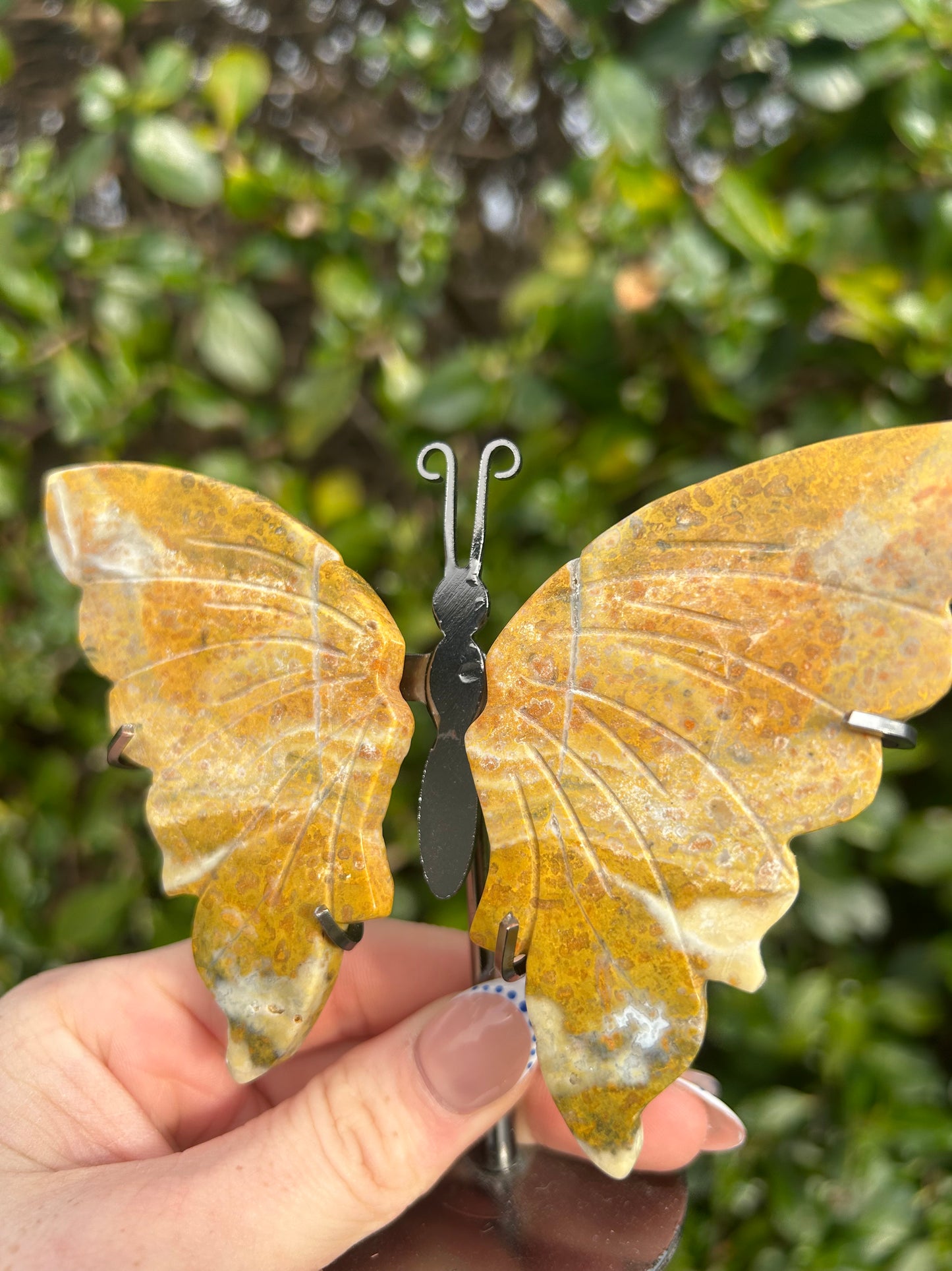 Bumblebee Jasper Butterfly Wings