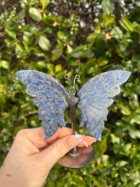 Sodalite Butterfly Wings