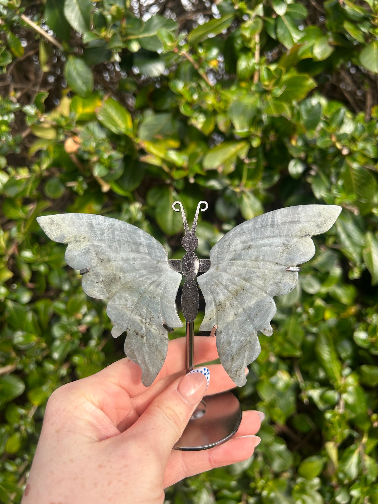 Labradorite Butterfly Wings
