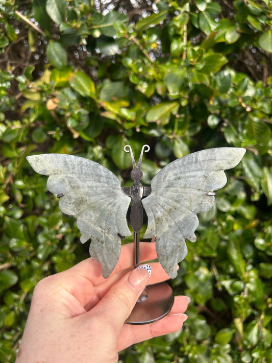 Labradorite Butterfly Wings