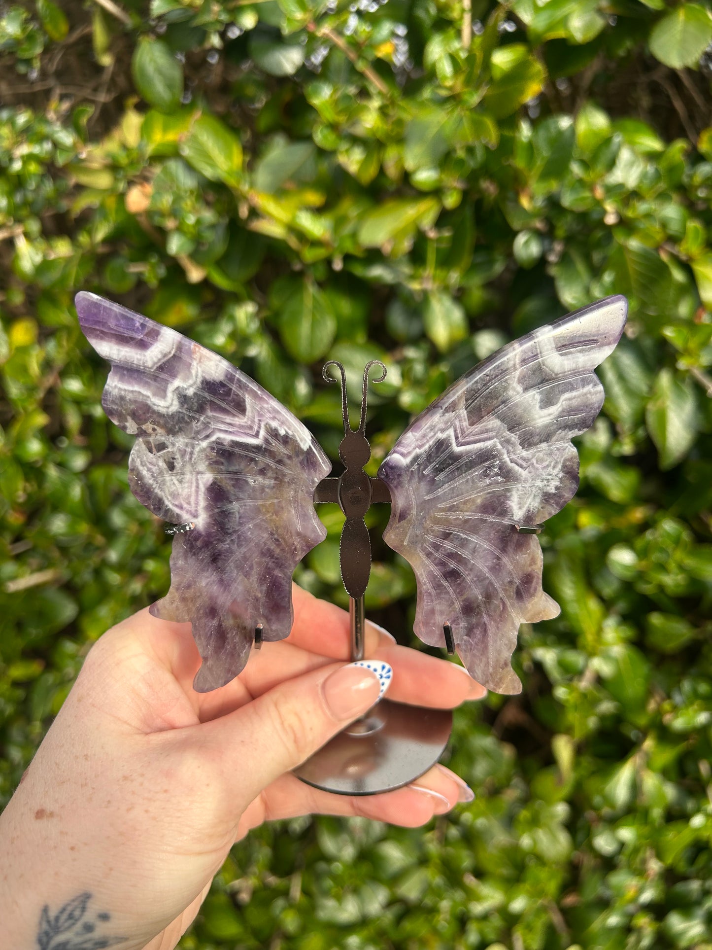 Amethyst Butterfly Wings #3
