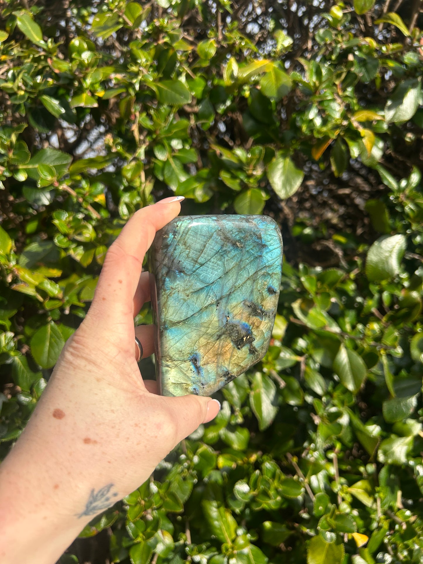 Labradorite Freeform