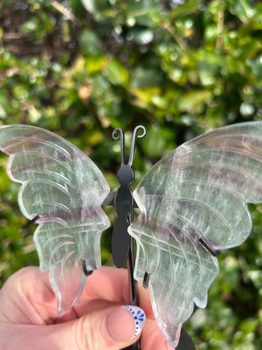 Rainbow Fluorite Butterfly Wings #2